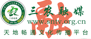 LOGO-三农融媒 三农电视台