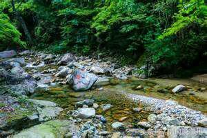 知青岁月 一一 难忘军民鱼水情