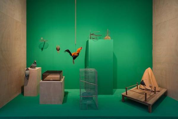 “看不懂”当代艺术，陶冶情操也不错