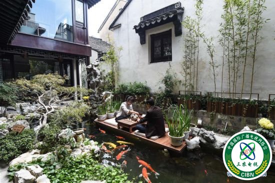 （社会）（4）江苏吴江：发展古镇旅游 助力乡村振兴