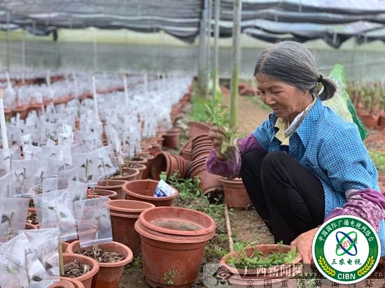 良庆：打造沿贫困村产业经济带 助力脱贫攻坚