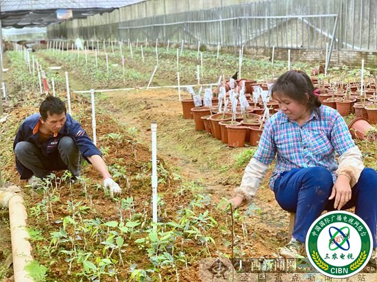 良庆：打造沿贫困村产业经济带 助力脱贫攻坚