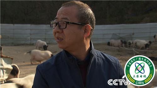 [致富经]一个习惯 年卖千万 他让财富满山跑 20190314 