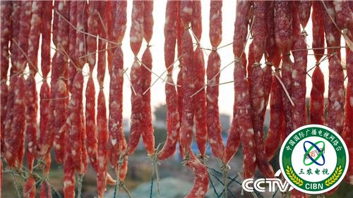 [致富经]一个习惯 年卖千万 他让财富满山跑 20190314 