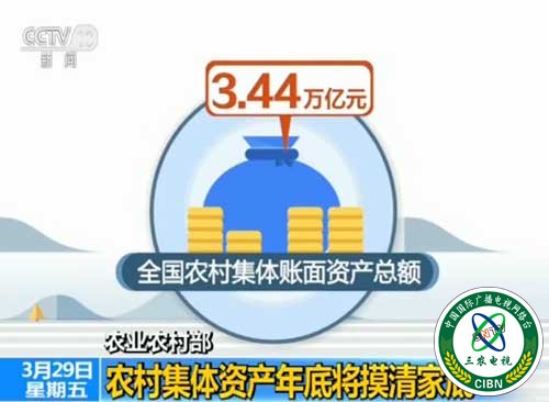 农业农村部 农村集体资产年底将摸清家底