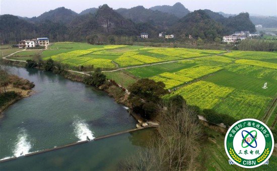 （美丽中国）（1）赣西大地 油菜花开