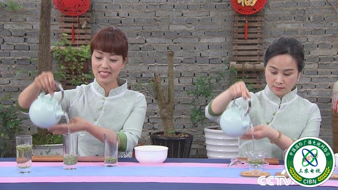乡土:行走魅力茶香 钱江源头龙顶飘香 7月27日