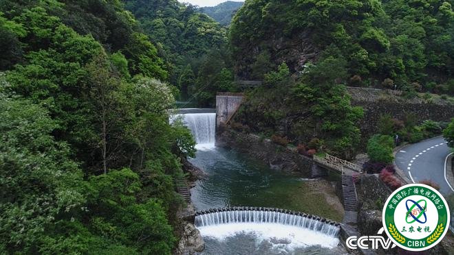 乡土:行走魅力茶香 钱江源头龙顶飘香 7月27日