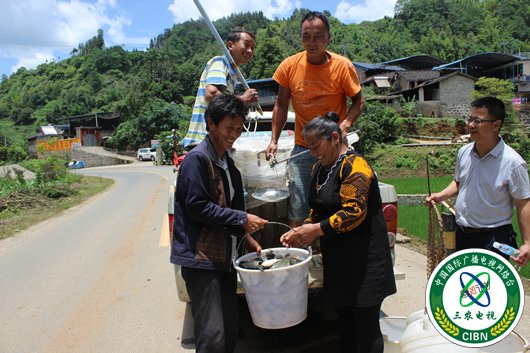 发放鱼苗 雷华 摄