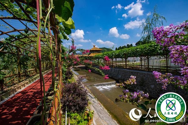 官仓美丽乡村一角。