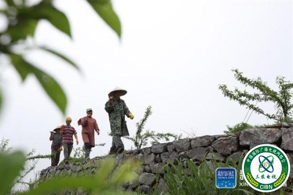 贵州玉屏：石旮旯里垦出“聚宝盆”