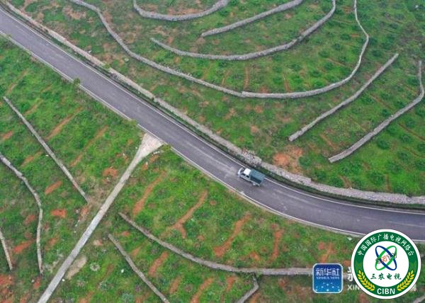 贵州玉屏：石旮旯里垦出“聚宝盆”