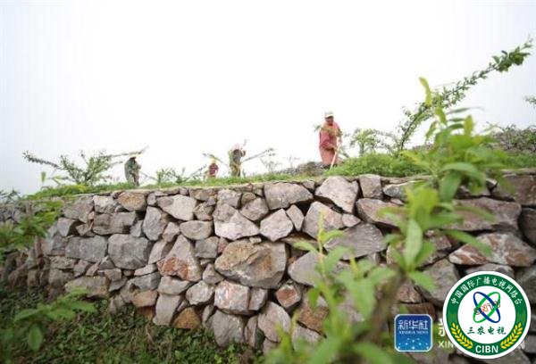 贵州玉屏：石旮旯里垦出“聚宝盆”
