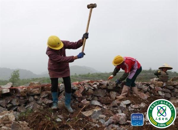 贵州玉屏：石旮旯里垦出“聚宝盆”