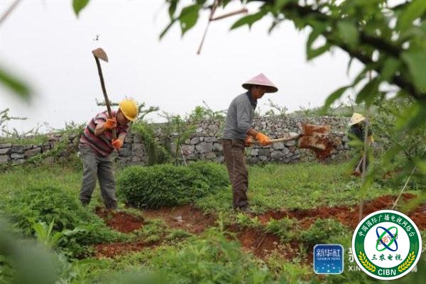 贵州玉屏：石旮旯里垦出“聚宝盆”