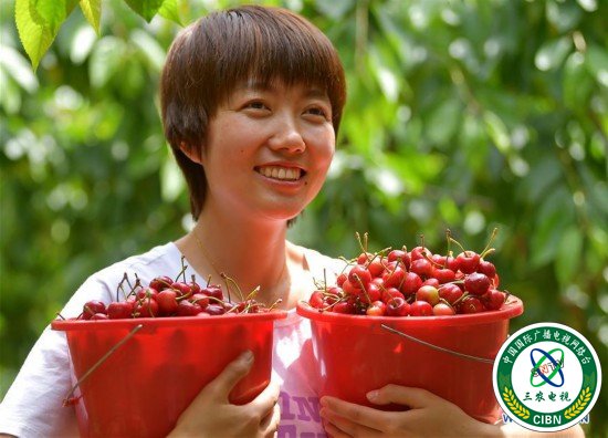 （社会）（1）河北迁安：发展果品产业助力乡村振兴