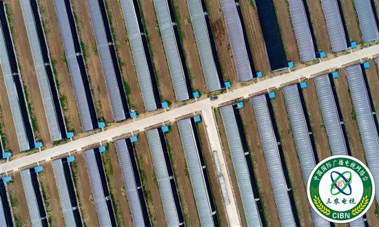 （经济）（1）河北乐亭：农业园区建设助推乡村振兴