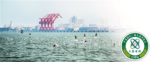 “钦”近山海 “南”得精彩