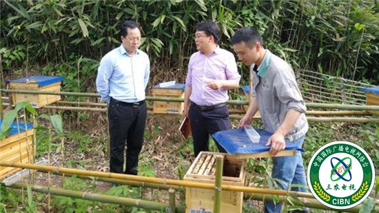 图片默认标题_fororder_A