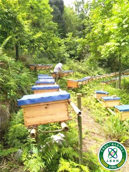 图片默认标题_fororder_B