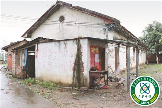 来宾象州：既要改变风貌 也要留住乡愁