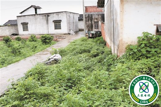 来宾象州：既要改变风貌 也要留住乡愁