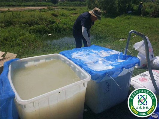 【湖北】【客户稿】黄冈市蕲春县飞防作业5.2万亩呵护松林安全