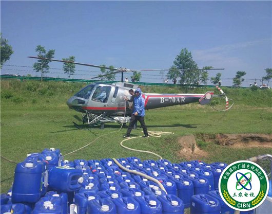 【湖北】【客户稿】黄冈市蕲春县飞防作业5.2万亩呵护松林安全