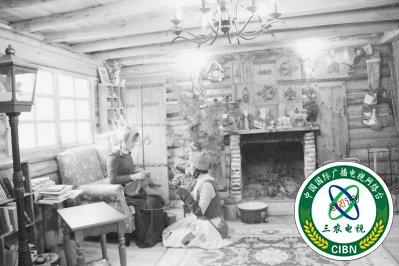 【福建好故事列表】【宁德】【移动版】寿宁：“灰姑娘”深山里 建起“童话小屋”