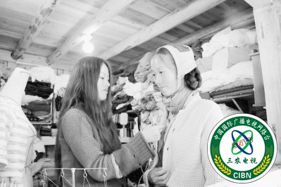 【福建好故事列表】【宁德】【移动版】寿宁：“灰姑娘”深山里 建起“童话小屋”