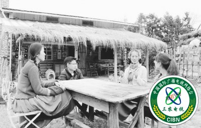 【福建好故事列表】【宁德】【移动版】寿宁：“灰姑娘”深山里 建起“童话小屋”