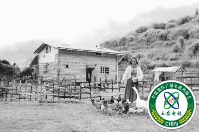 【福建好故事列表】【宁德】【移动版】寿宁：“灰姑娘”深山里 建起“童话小屋”