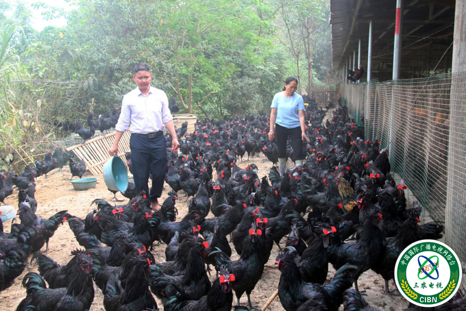 广西田林：激发内生动力 &nbsp;带动群众“我要脱贫”