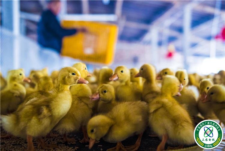 1540114121459298.jpg 22_副本.jpg