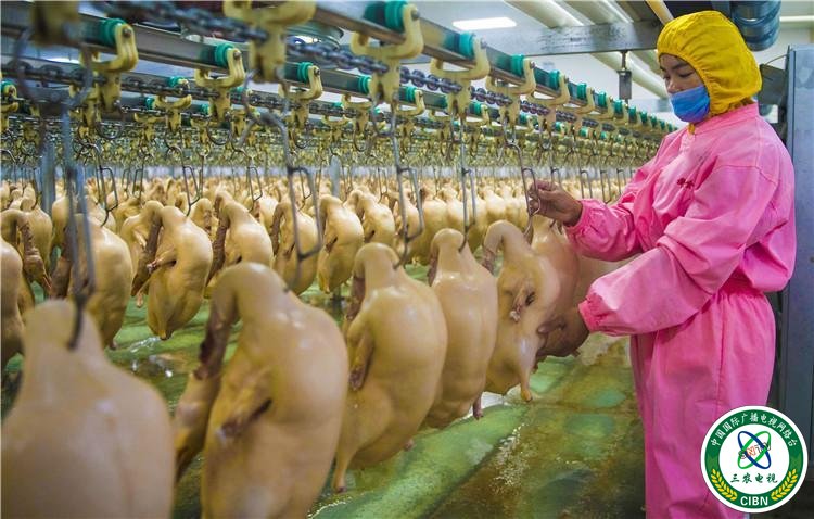 1540114113564887.jpg 11_副本.jpg