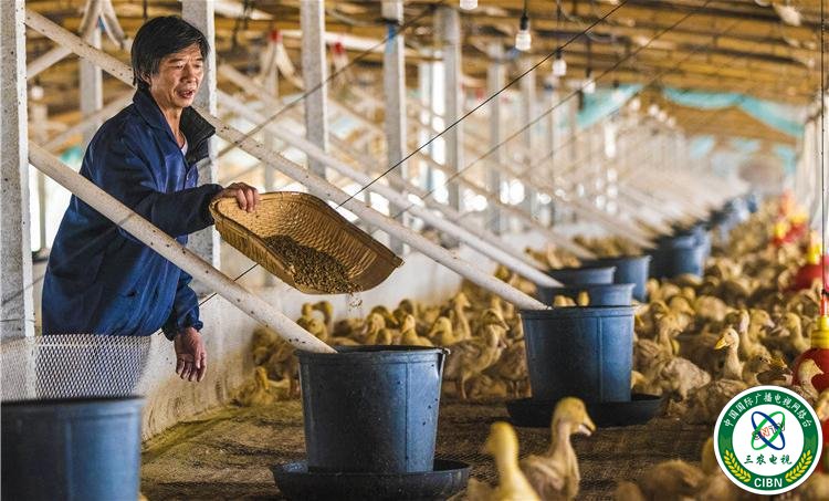 1540114129373438.jpg 33_副本.jpg