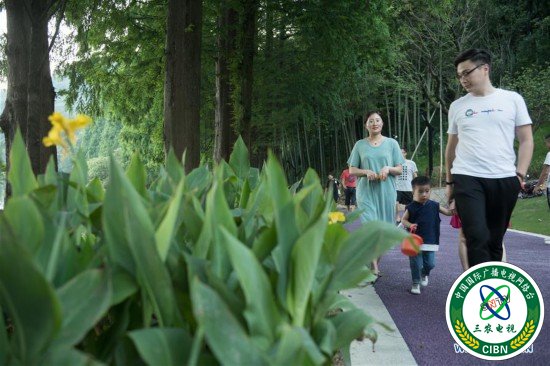 （环境）（1）城市绿道成为休闲好去处