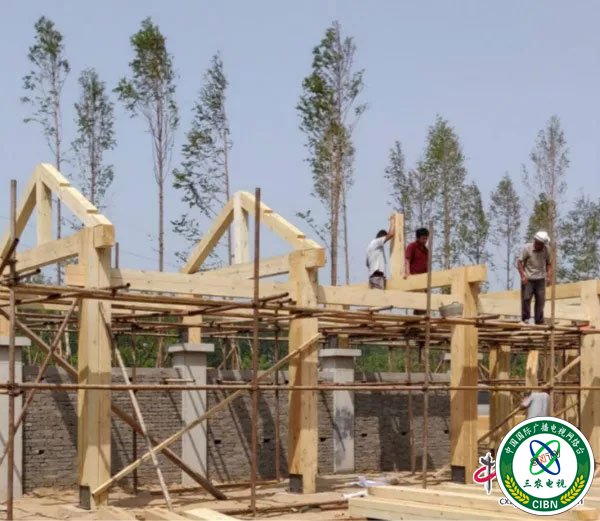 1559283596903194.jpg 3.jpg