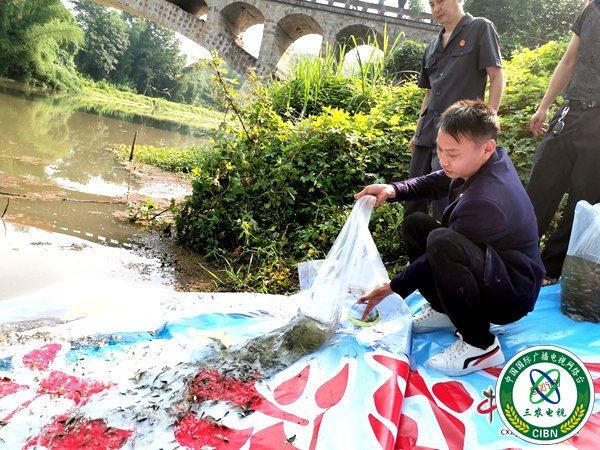 14万尾“悔过鱼”增殖放流古宋河 (11).jpg