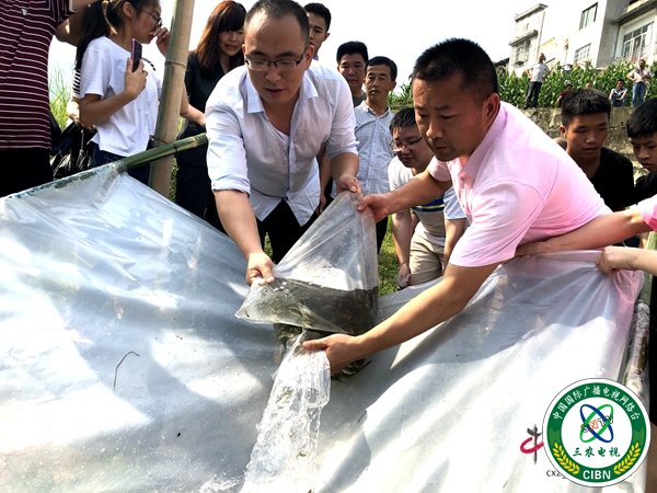 14万尾“悔过鱼”增殖放流古宋河 (7).jpg