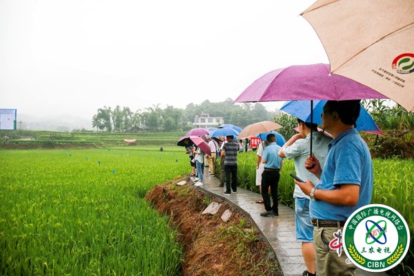 参观考察粮食丰产科技工程核心示范种植区.jpg