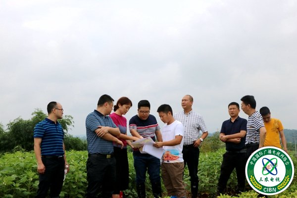 1562569469118685.jpg IMG_0017.JPG