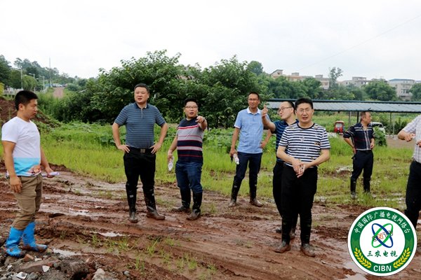 1562569501855988.jpg IMG_0086.JPG