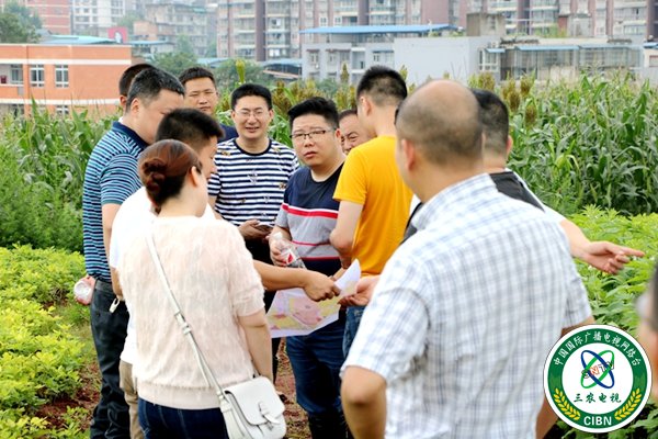 1562569494647456.jpg IMG_0078.JPG