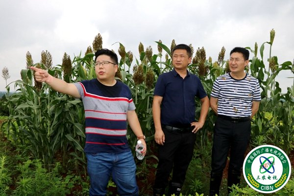 1562569486740576.jpg IMG_0060.JPG