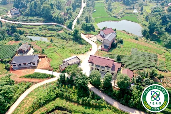 邱场镇新马村。（杨晓川 摄）.jpg