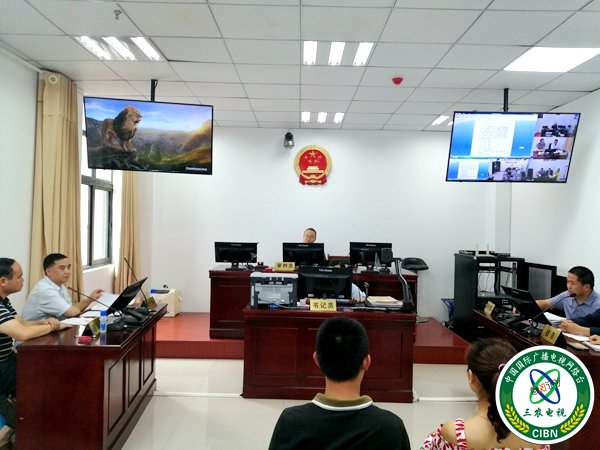 1562256524872899.jpg 交通巡回法庭庭审现场(摄影 赵晨希).jpg