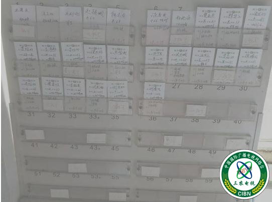 f41a3139370ed55b78cd466665202e9