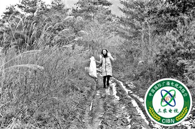 网店店主成人大代表:带动更多人通过电商脱贫致富