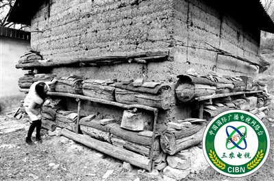 网店店主成人大代表:带动更多人通过电商脱贫致富